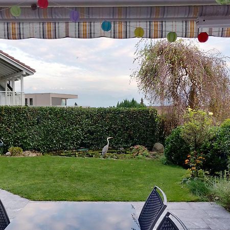 Hillside Homestay Near Luzern By Menbergs Harmony Homestay Hildisrieden Экстерьер фото