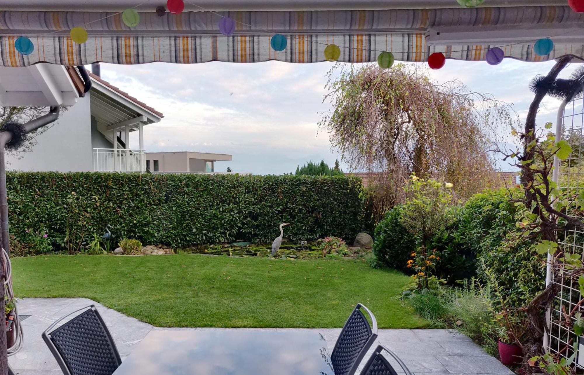 Hillside Homestay Near Luzern By Menbergs Harmony Homestay Hildisrieden Экстерьер фото